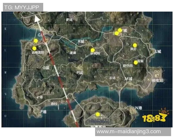 聚焦LNG战队在和平精英中的个人能力与团队协作分析