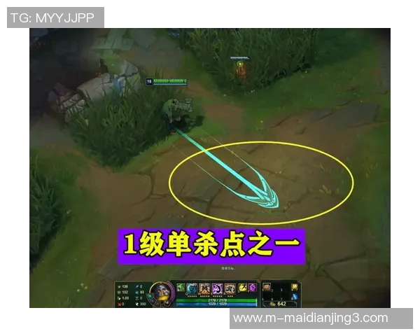 电竞实时数据分析FPX战术体系的全面压制与战略布局探讨 电竞实时数据分析FPX战术体系的全面压制与战略布局探讨