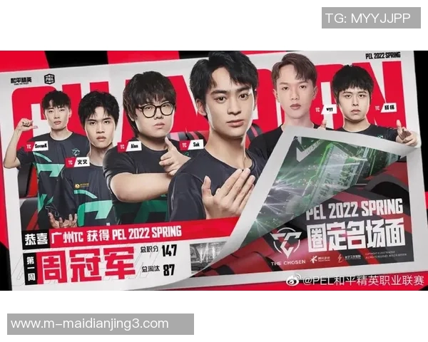 s15电竞总决赛引发热议和平精英IG灵活性变革的深度分析与展望