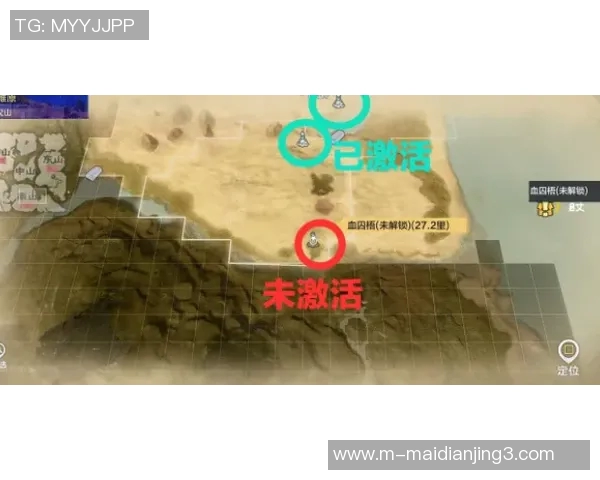 周娜亲自揭秘英雄联盟游戏技巧与心得分享全攻略实时新闻